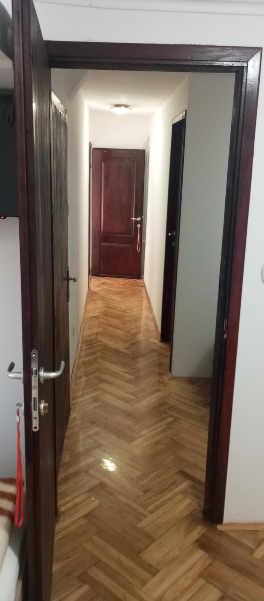בלגרד Airport Md Rooms 2 מראה חיצוני תמונה
